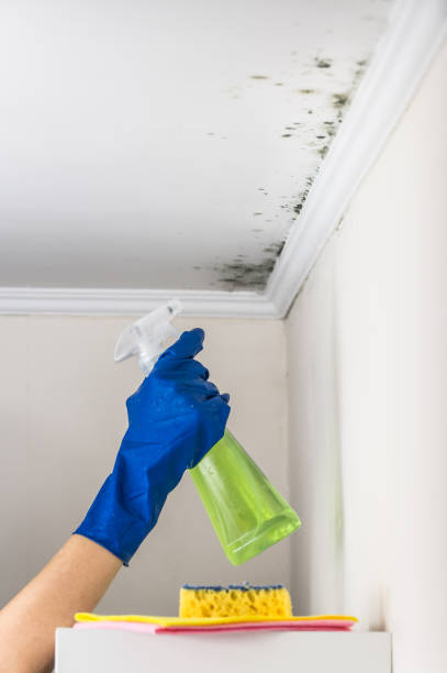 Water Damage Restoration in Eden, TX